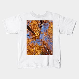 songs from the wood Kids T-Shirt